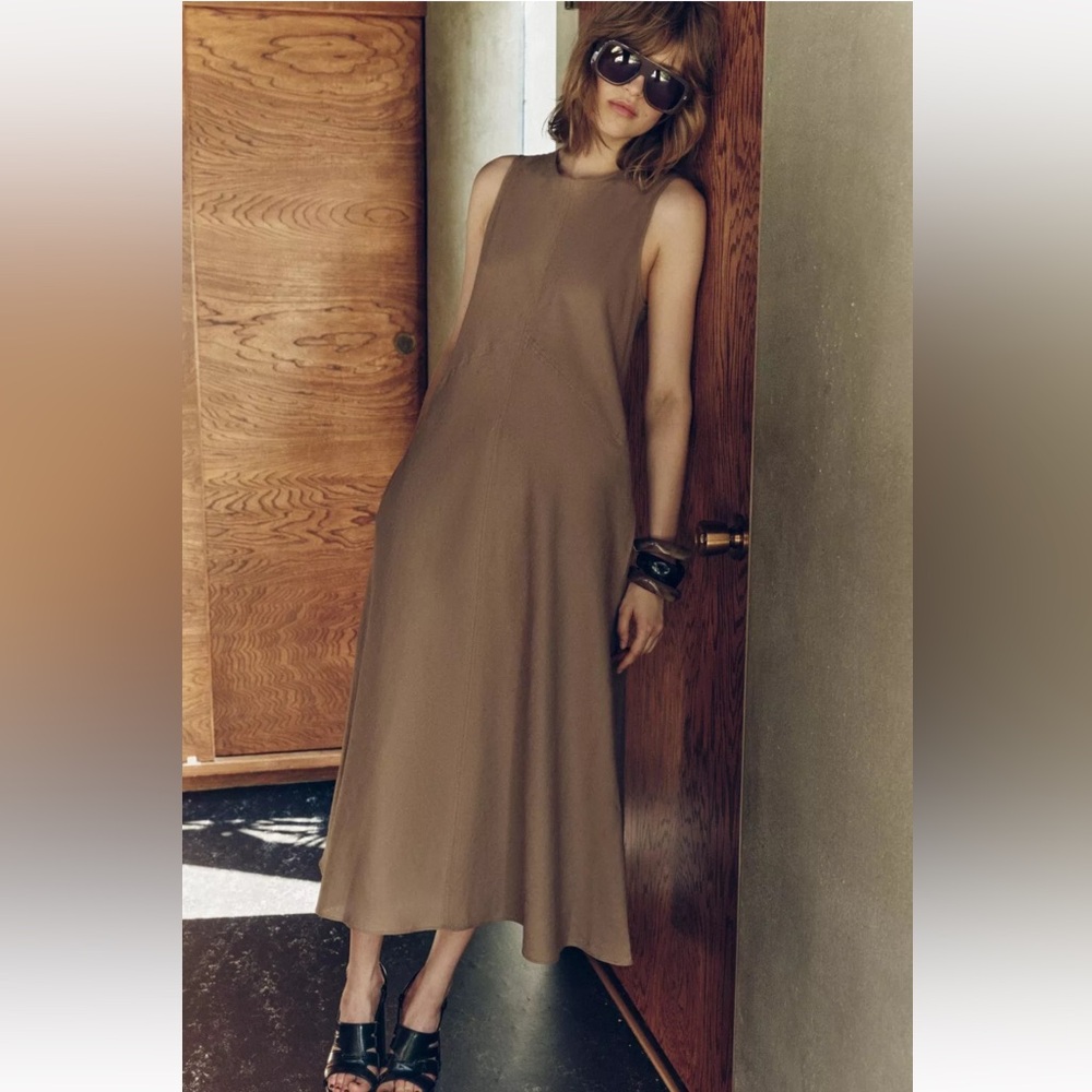Zara Brown Midi Dress